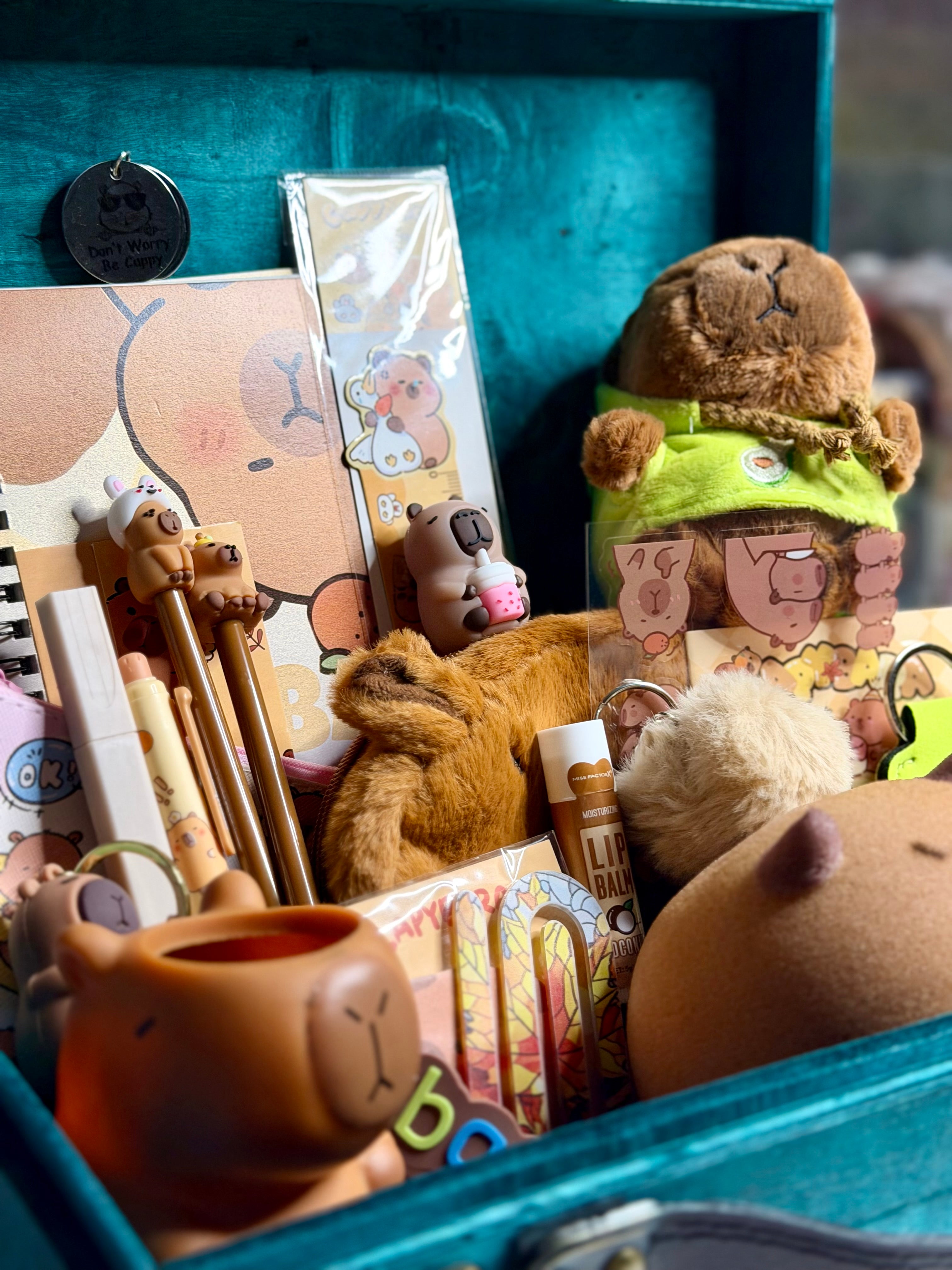 Capybara In a Gift Box