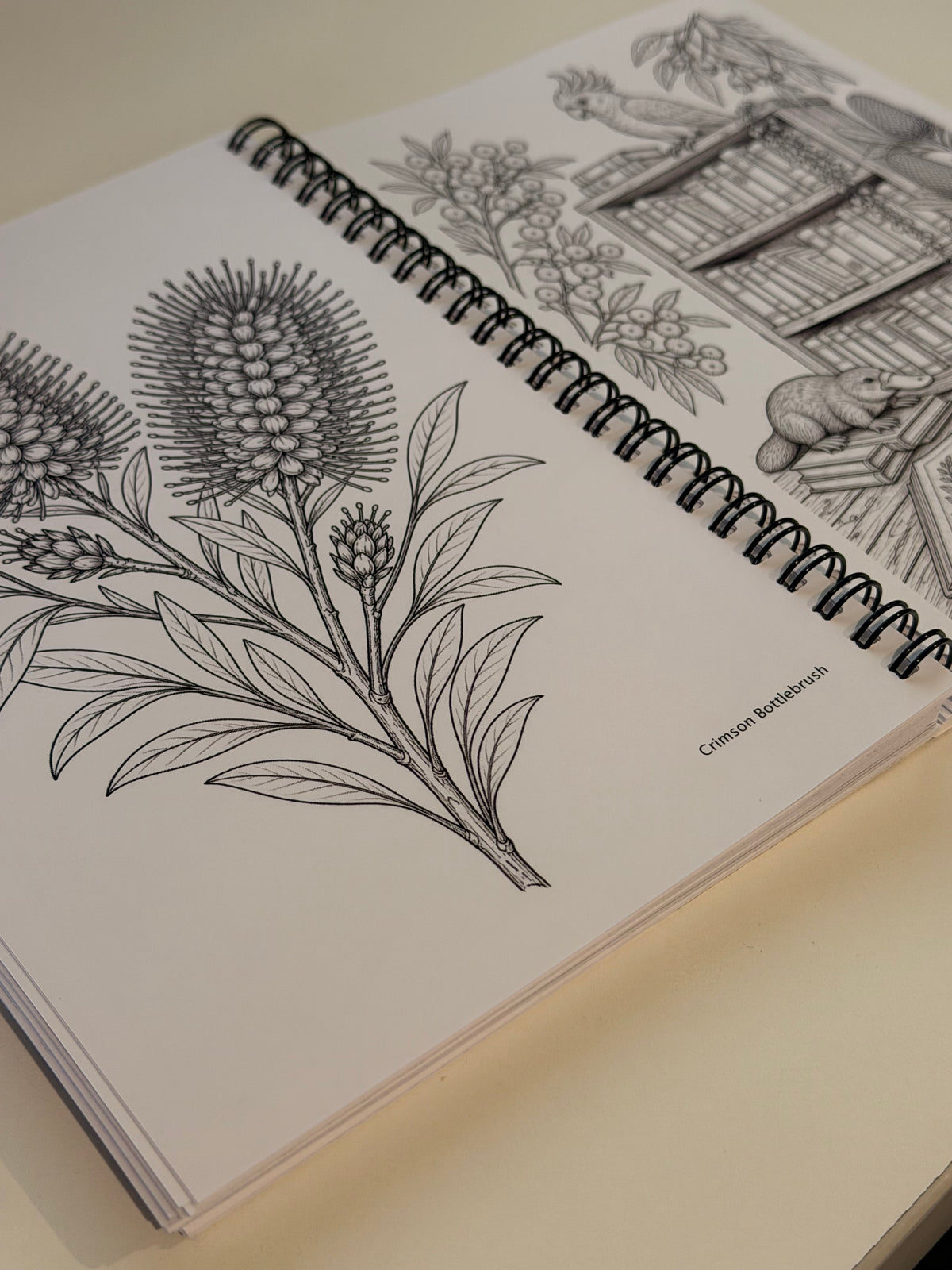 Australian Edition - A5 Reading Journal