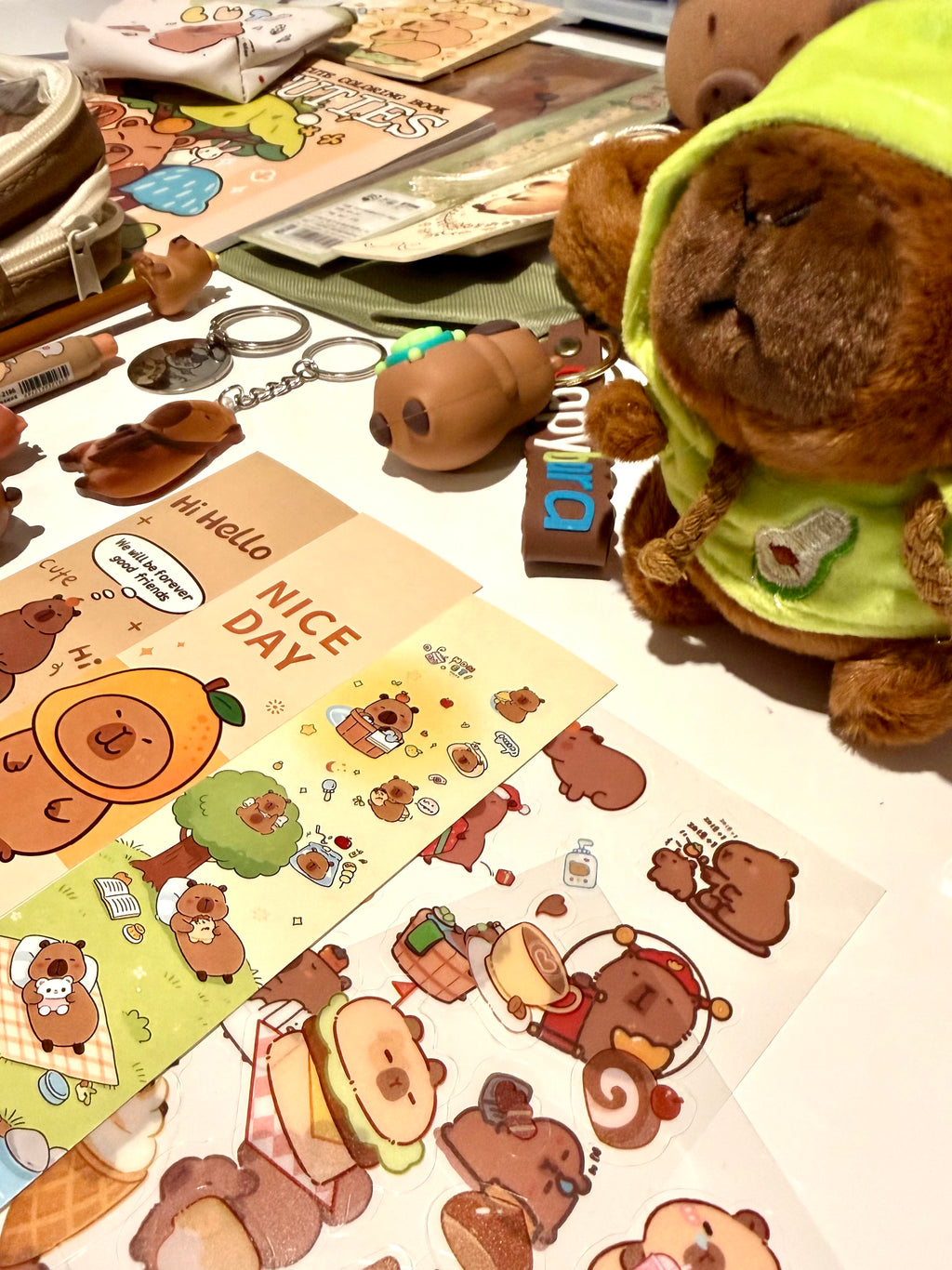 Capybara Chill Gift Box