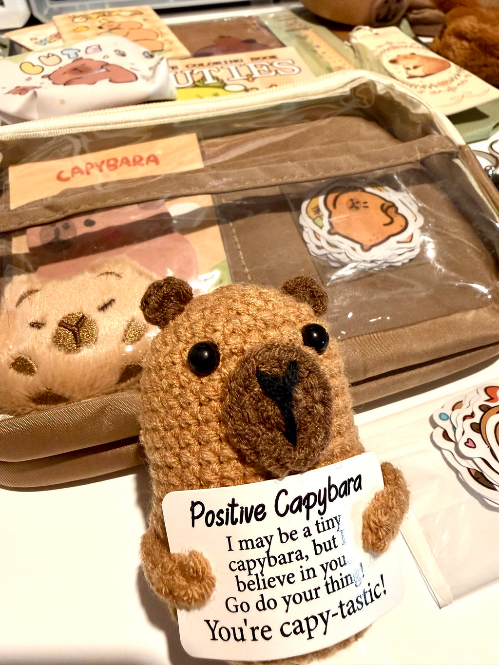 Capybara Chill Gift Box