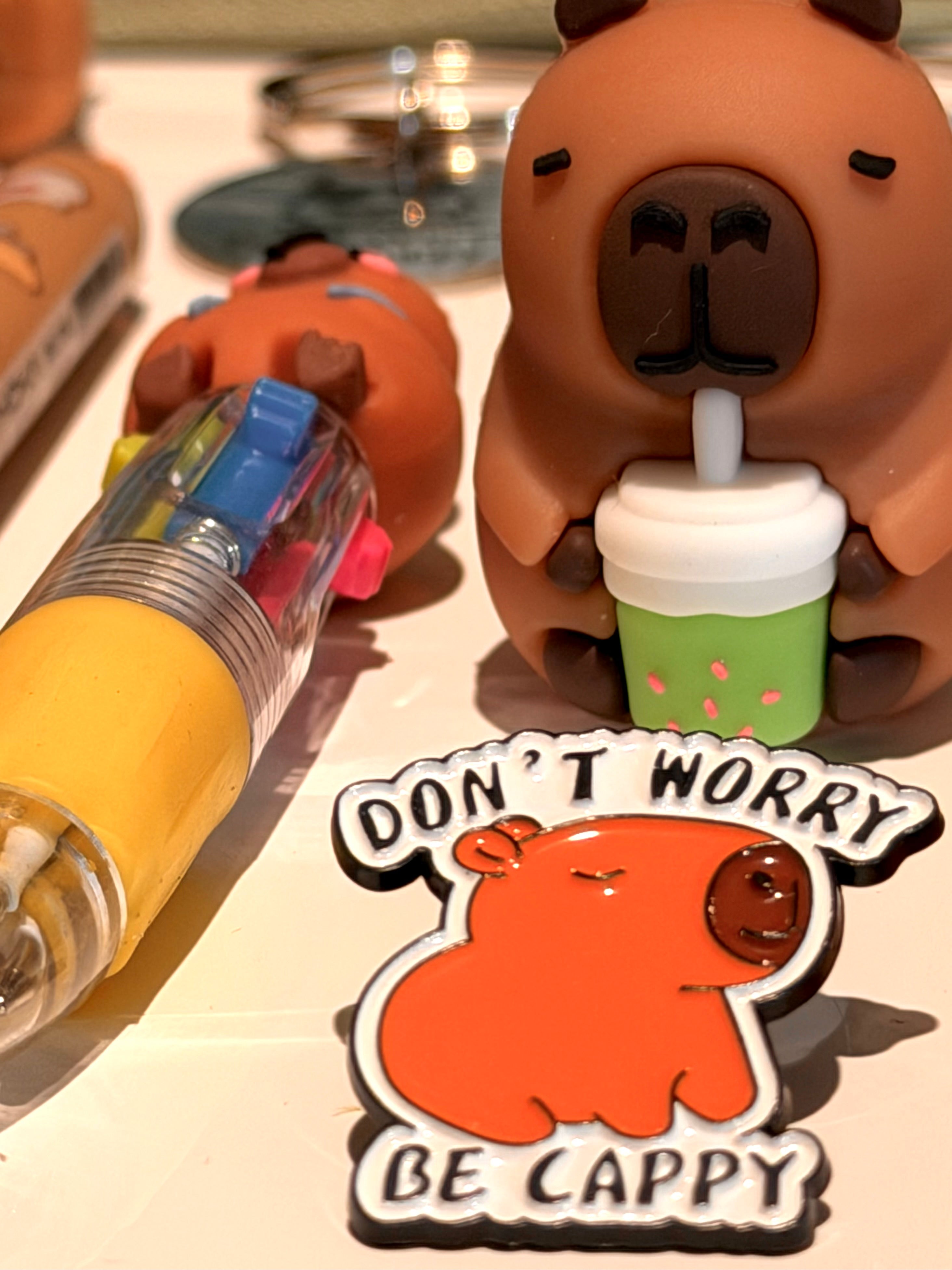 Capybara Chill Gift Box