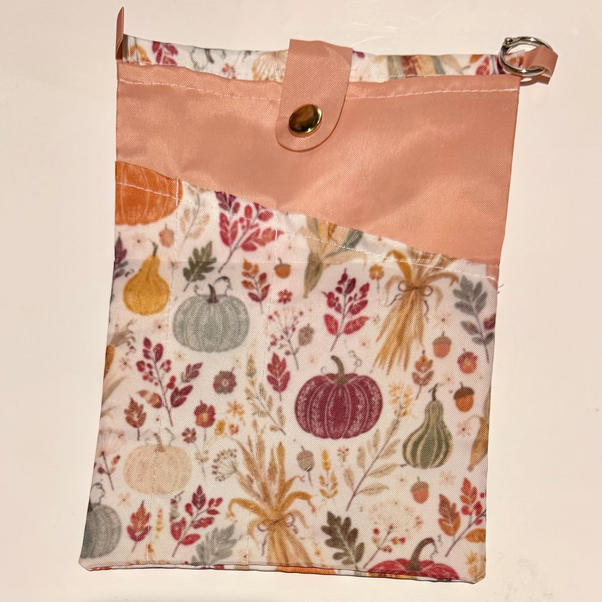 Book Bag/Jacket - Pumpkins