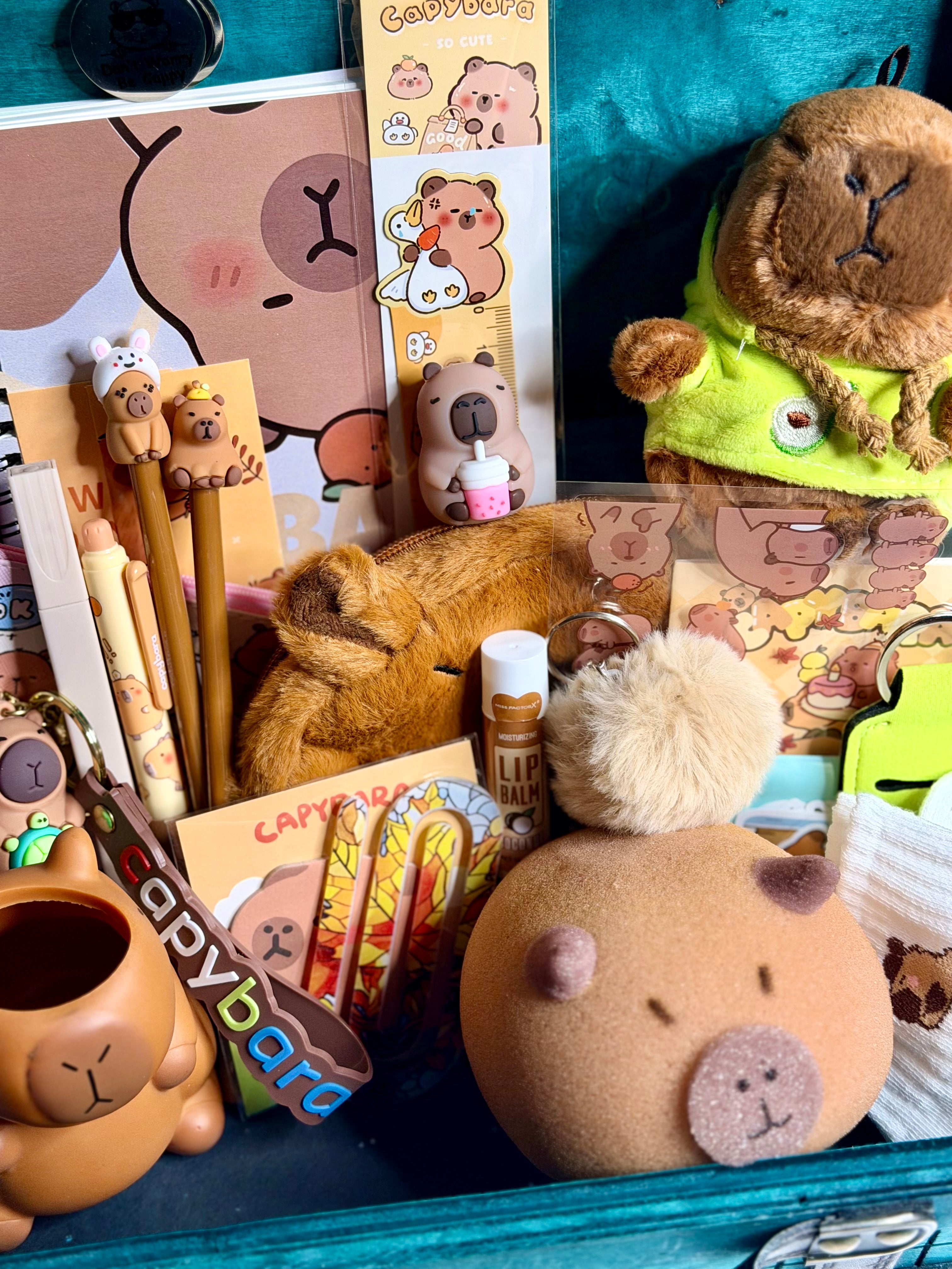 Capybara In a Gift Box